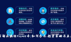 深入了解区块链Came币：如何参与、投资策略与未