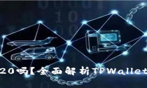 TPWallet支持BEP20吗？全面解析TPWallet与BEP20的兼容性
