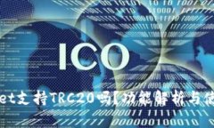 TPWallet支持TRC20吗？功能解析与使用指南