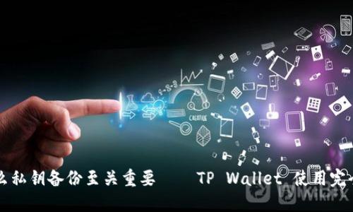 为什么私钥备份至关重要 — TP Wallet 使用完全指南
