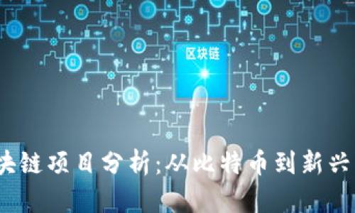 2023年热门区块链项目分析：从比特币到新兴币种的全面解读