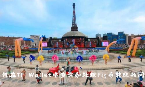如何在TP Wallet中查询和处理Pig币转账的问题