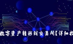 如何将TP钱包中的数字资产转移到交易所？详细指