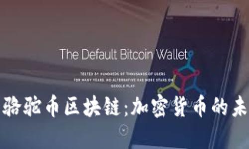 探索张亮骆驼币区块链：加密货币的未来与应用