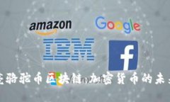 探索张亮骆驼币区块链：加密货币的未来与应用