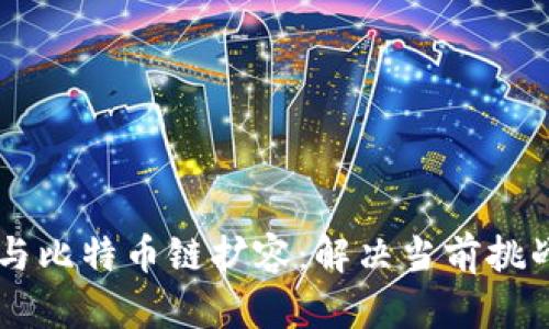 区块链技术与比特币链扩容：解决当前挑战与未来展望