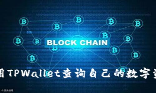 如何使用TPWallet查询自己的数字资产去向