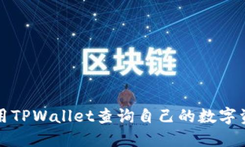 如何使用TPWallet查询自己的数字资产去向
