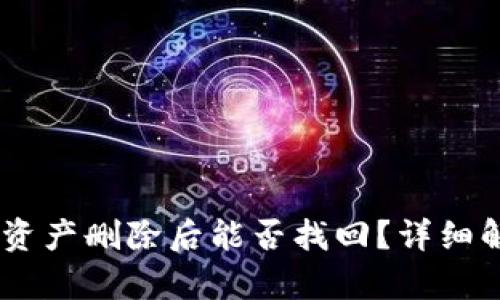 TPWallet App资产删除后能否找回？详细解析与操作指南