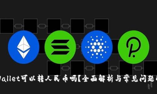 TPWallet可以转人民币吗？全面解析与常见问题解答