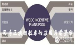 人民币区块链技术的应用与前景分析