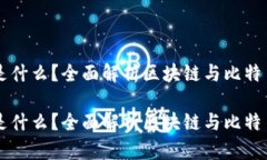 区块链比特币节点是什么？全面解析区块链与比