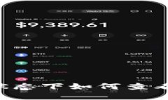 tpwallet登录状态下如何查看私钥：详细指南