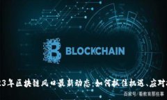 2023年区块链风口最新动态：如何抓住机遇、应对