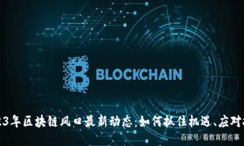 2023年区块链风口最新动态：如何抓住机遇、应对挑战