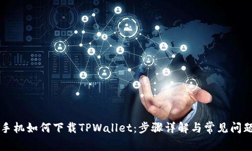 苹果手机如何下载TPWallet：步骤详解与常见问题解析