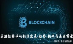 区块链特币的持续发展：趋势、挑战与未来前景