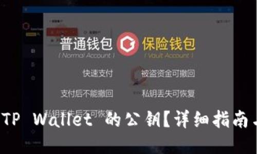 如何查看 TP Wallet 的公钥？详细指南与使用技巧