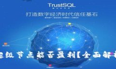 Pi币区块链超级节点能否盈利？全面解析与收益展