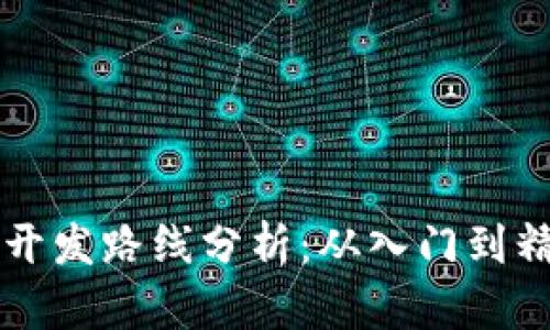 虚拟币区块链开发路线分析：从入门到精通的全面指南