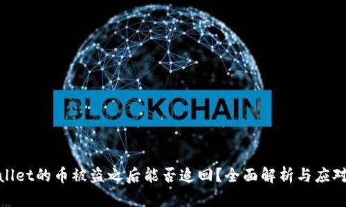 tpwallet的币被盗之后能否追回？全面解析与应对策略