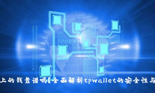 tpwallet上的钱靠谱吗?全面解析tpwallet的安全性与使用风险