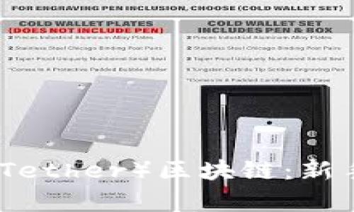 如何购买泰达币（Tether）区块链：新手指南与实用技巧