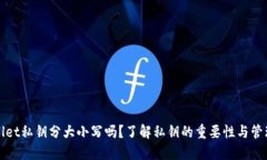 TPWallet私钥分大小写吗？了解私钥的重要性与管理