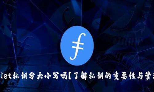 TPWallet私钥分大小写吗?了解私钥的重要性与管理技巧