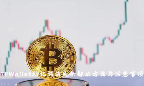 TPWallet助记词消失的解决方法与注意事项
