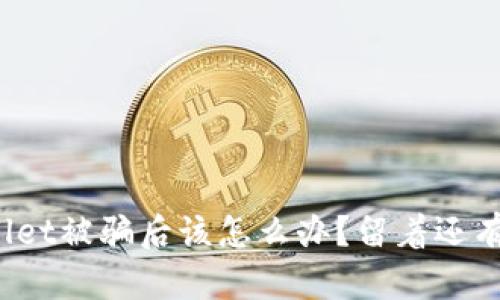 TPWallet被骗后该怎么办?留着还有用吗?