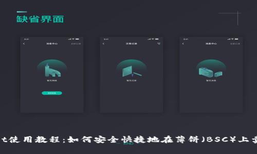 tpwallet使用教程：如何安全快捷地在薄饼（BSC）上卖币到账