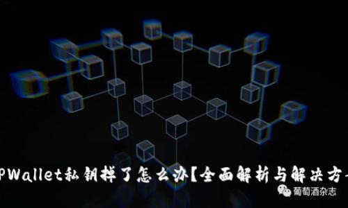 TPWallet私钥掉了怎么办？全面解析与解决方案