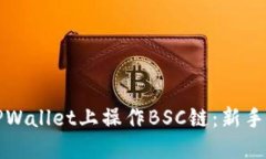 如何在TPWallet上操作BSC链：新手全面指南