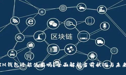 TP和IM钱包还能使用吗？全面解析当前状况与未来发展