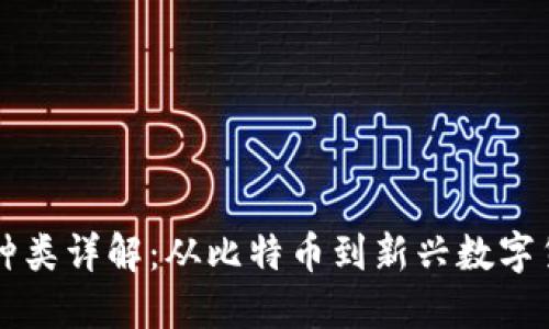 区块链币种类详解：从比特币到新兴数字货币的全景