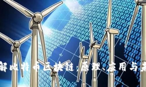 深入了解比特币区块链：原理、应用与未来发展