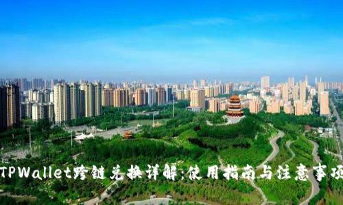 TPWallet跨链兑换详解：使用指南与注意事项