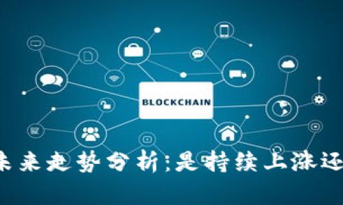 区块链币的未来走势分析：是持续上涨还是温和回调？