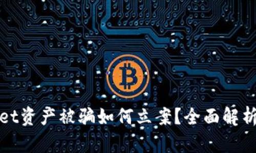 TPWallet资产被骗如何立案？全面解析与建议