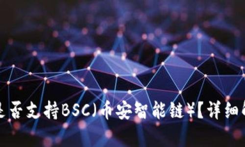 TP桌面版钱包是否支持BSC（币安智能链）？详细解析与使用指南