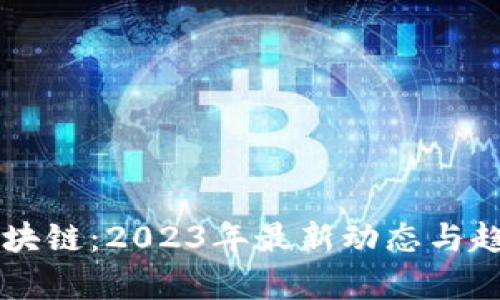 乐福区块链：2023年最新动态与趋势解析