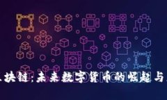 诺一币区块链：未来数字货币的崛起与应用分析