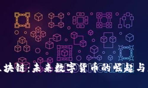 诺一币区块链：未来数字货币的崛起与应用分析