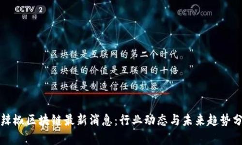 小辣椒区块链最新消息：行业动态与未来趋势分析