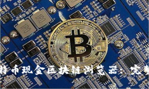 如何使用比特币现金区块链浏览器: 完整指南与技巧