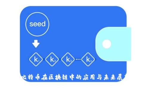 比特币在区块链中的应用与未来展望