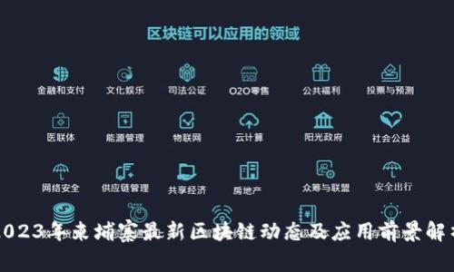 2023年柬埔寨最新区块链动态及应用前景解析