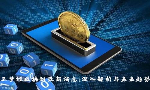 王梦蝶区块链最新消息：深入解析与未来趋势