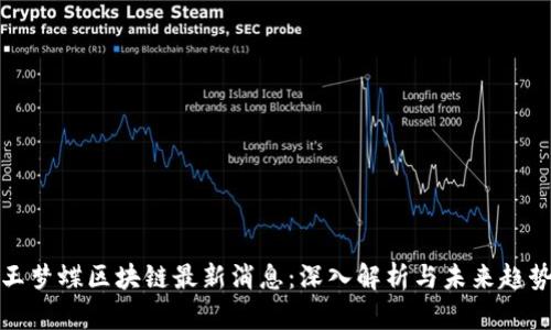 王梦蝶区块链最新消息：深入解析与未来趋势